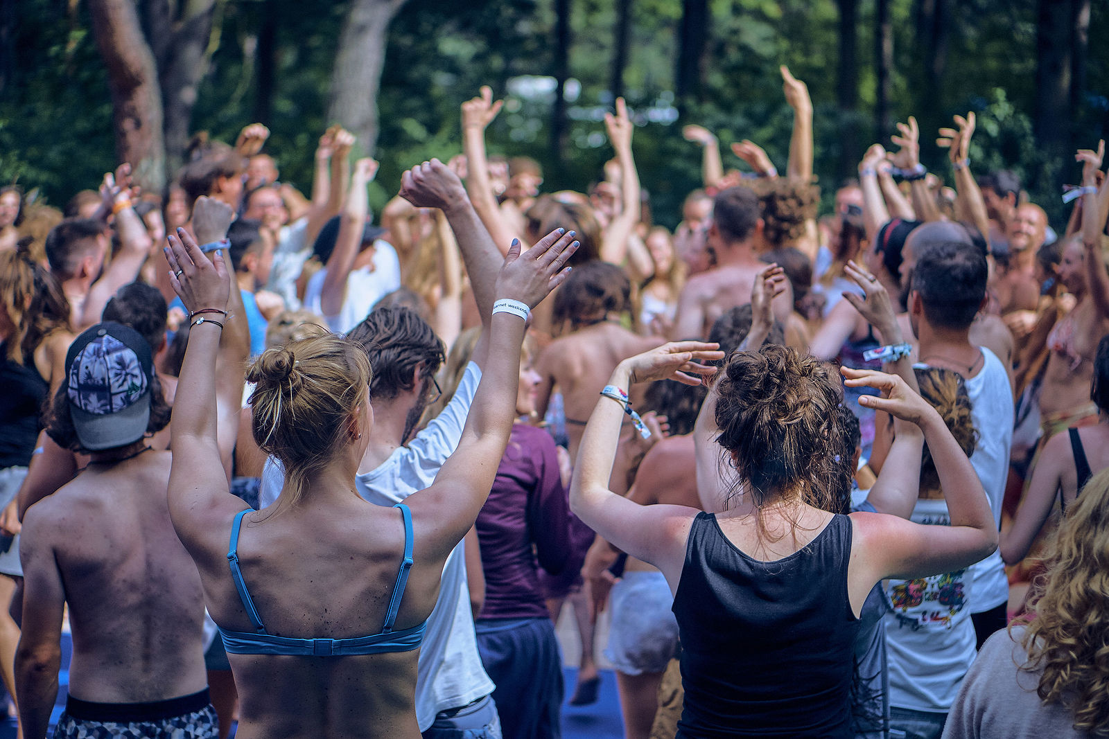 Festiwal Wibracje 3.0. Festiwal Wibracje rokrocznie przyciąga entuzjastów harmonijnego rozwoju, poszukiwaczy wiedzy i pasjonatów życia, spotykających się, by wzajemnie się inspirować i rozwijać swoje potencjały. Kilkutysięczna społeczność charakteryzująca się szczególnym poziomem świadomości rokrocznie wspólnie celebruje radosny czas pośród zieleni drzew, nad słoneczną plażą i w cieniu sosnowego lasu.